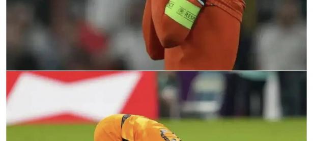 三亿体育体育网页版-荷兰主场捧走胜利，实力彰显