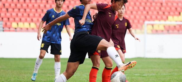 三亿体育体育亚洲官网-日本女足国家队换帅，备战欧锦赛