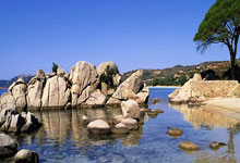 三亿体育体育电竞-关于东方篮球新秀在全球赛事中大放异彩的信息