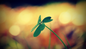 柏林联合逆袭成功，士气大振