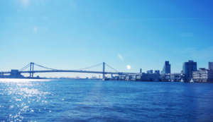 战火焚身！瑞典选手一鼓作气，全力以赴登顶桂冠