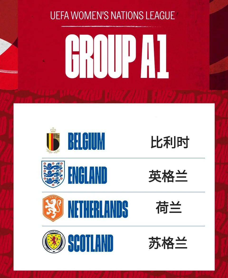 关于英格兰国家队强袭欧预赛淘汰赛的信息