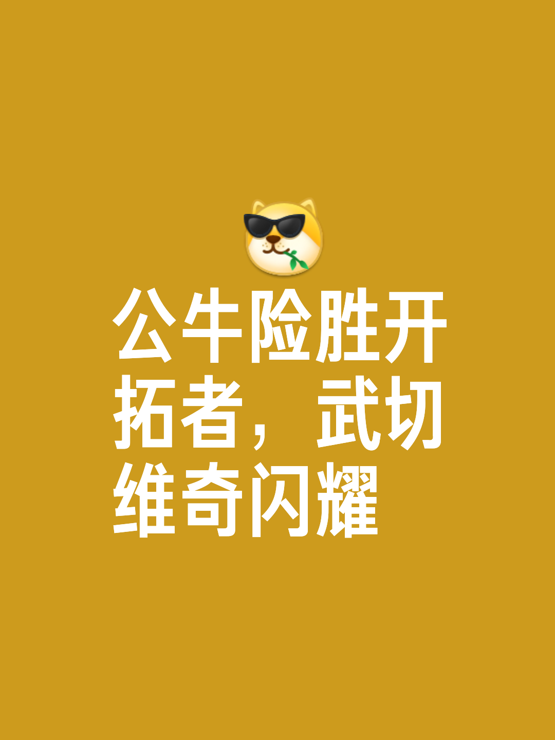 关于公牛奉献新王朝,主场不败创造新赛季历史的信息 关于公牛奉献新王朝,主场不败创造新赛季历史的信息