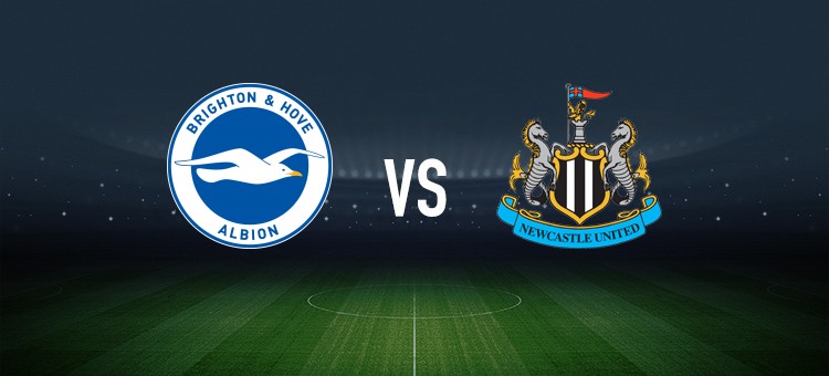 包含纽卡斯尔主场对阵布莱顿，实力对比引人瞩目的词条